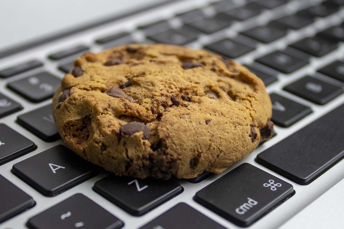 O que são os cookies e a sua importância?